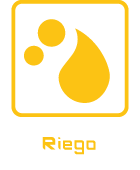 Riego